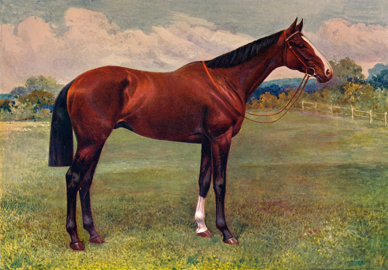 Hortelã, c1905 c1910 de Unbekannt