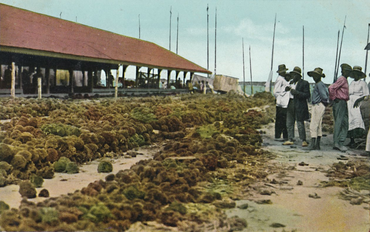 Mercado de esponja, Nassau, Bahamas, década de 1930. de Unbekannt