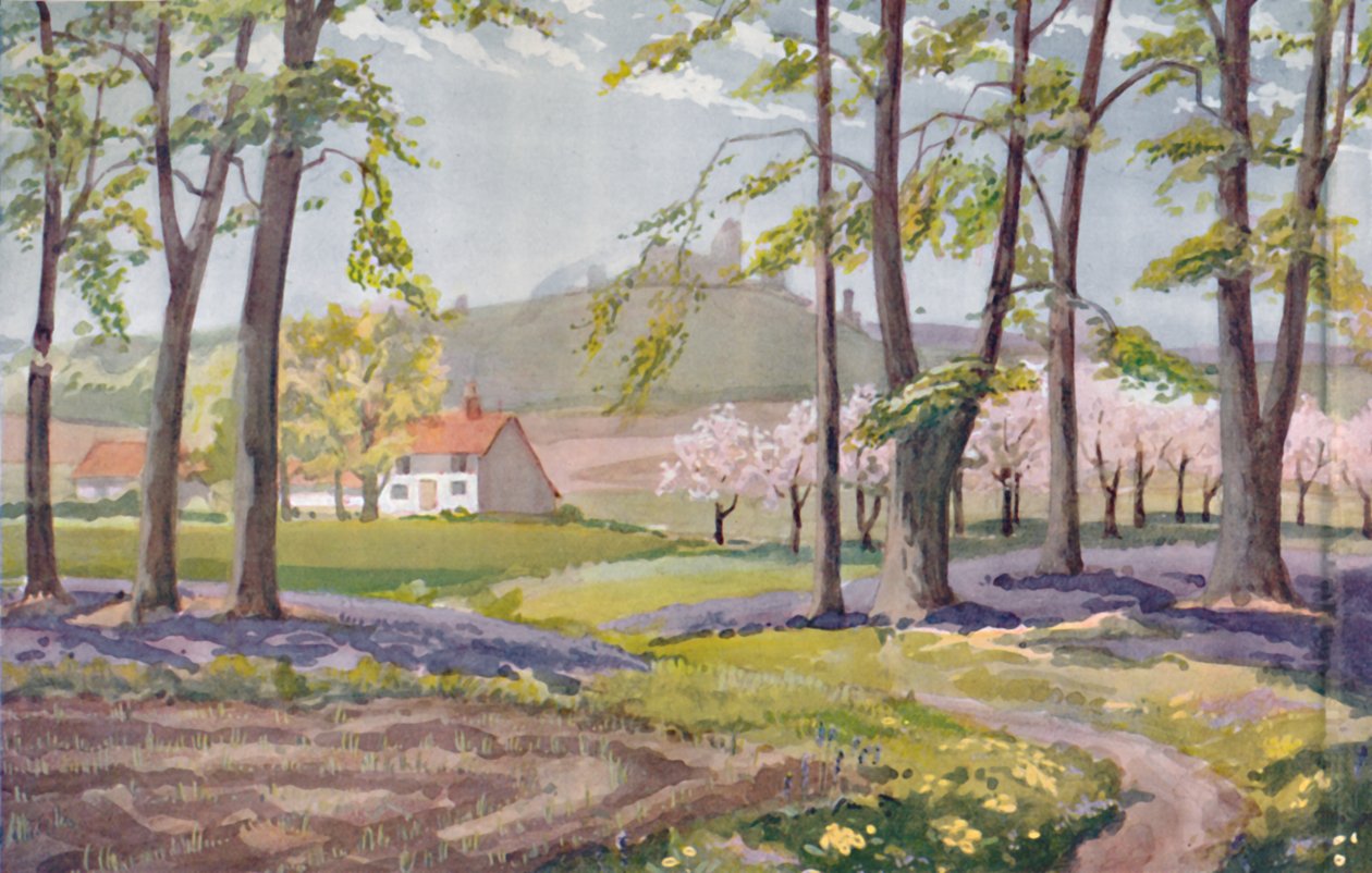 Primavera - As mudanças físicas, químicas e biológicas provocadas pelo sol durante o ano de 1935. de Unbekannt