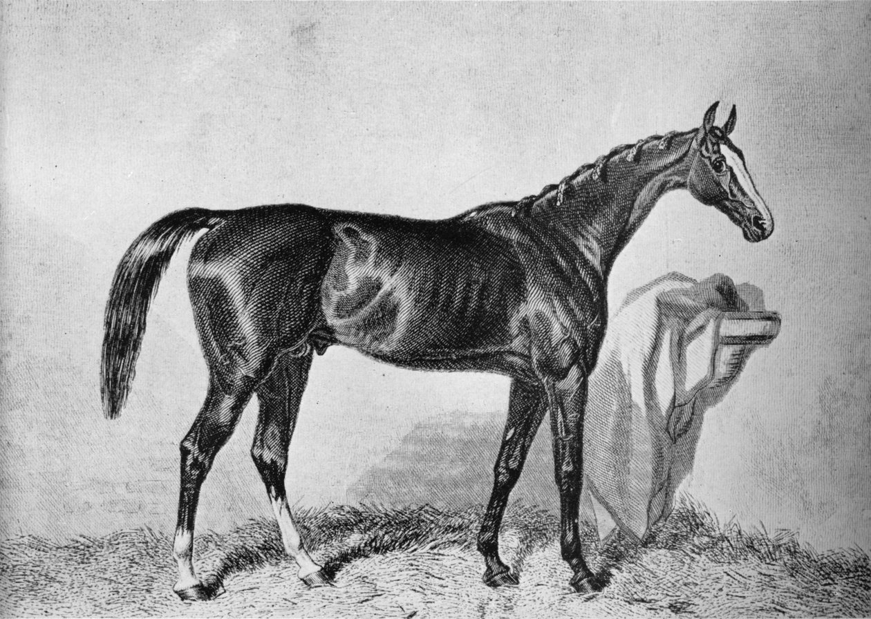 St. Albans, século c19th, 1911 de Unbekannt