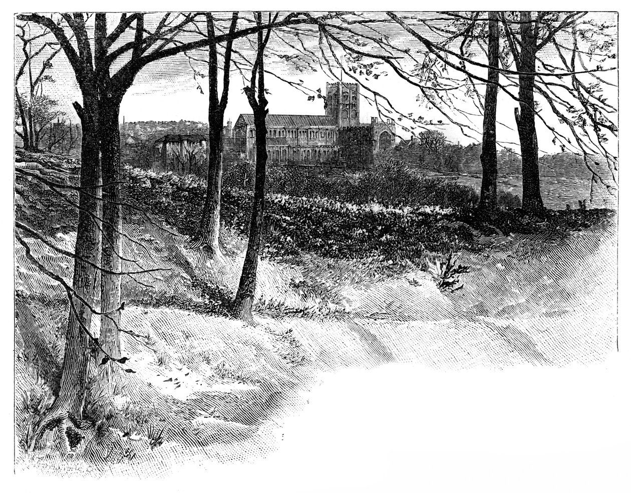 St Albans, de Verulam, século XIX de Unbekannt