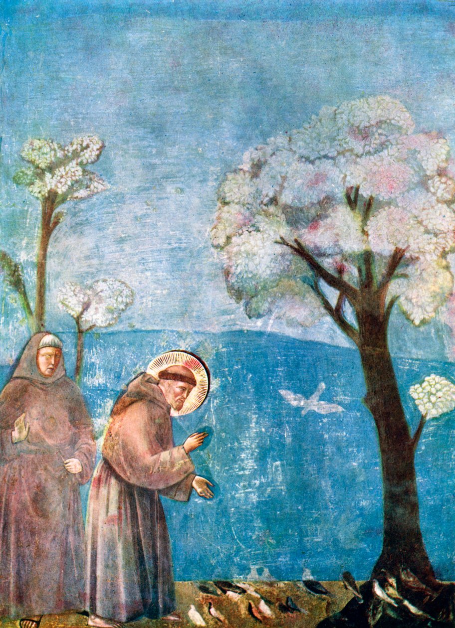 São Francisco Pregação aos Pássaros, 1297-1299, c1900-1920 de Unbekannt