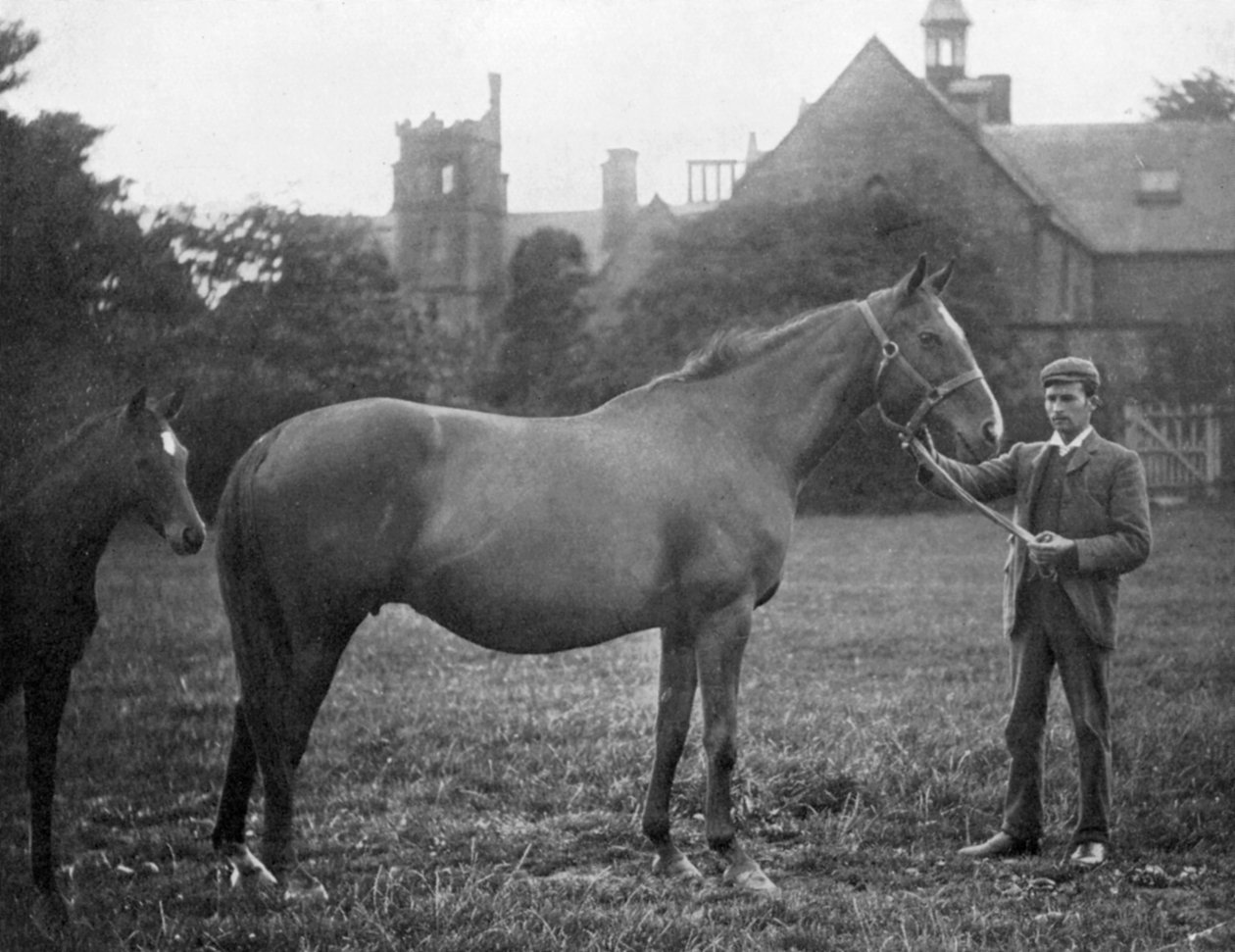 St Marguerite, cavalo de corrida britânico, 1895 1938 de Unbekannt