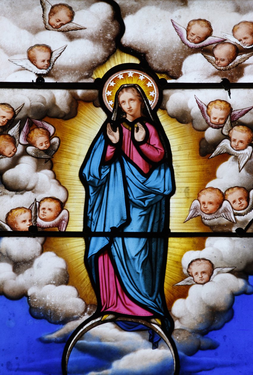 Vidro manchado na catedral de Saint-Louis : Virgem Maria, Blois, França de Unbekannt