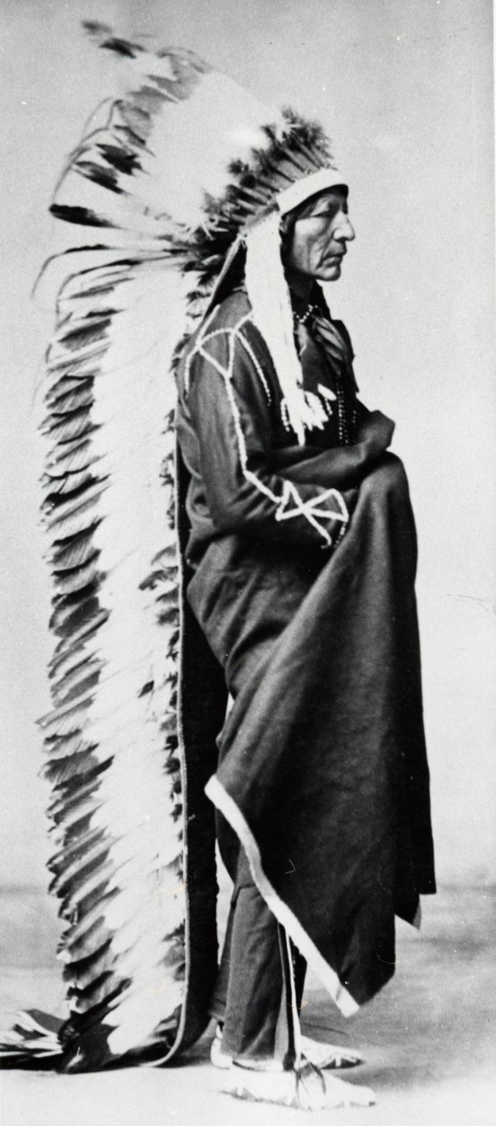 Bear em pé, chefe do Dakota Sioux, índios das planícies da América do Norte, c1885-c1890 de Unbekannt