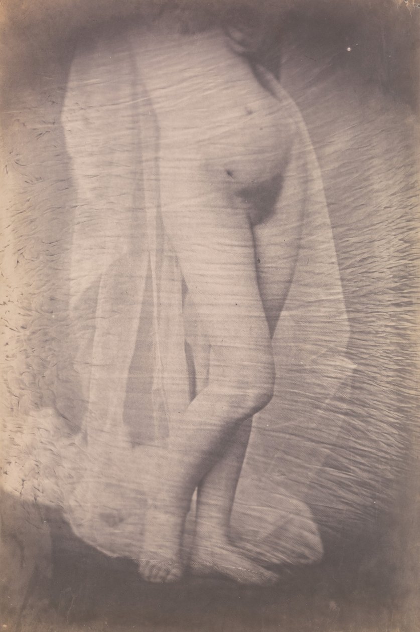 [Nu feminino em pé], c. 1856. de Unbekannt
