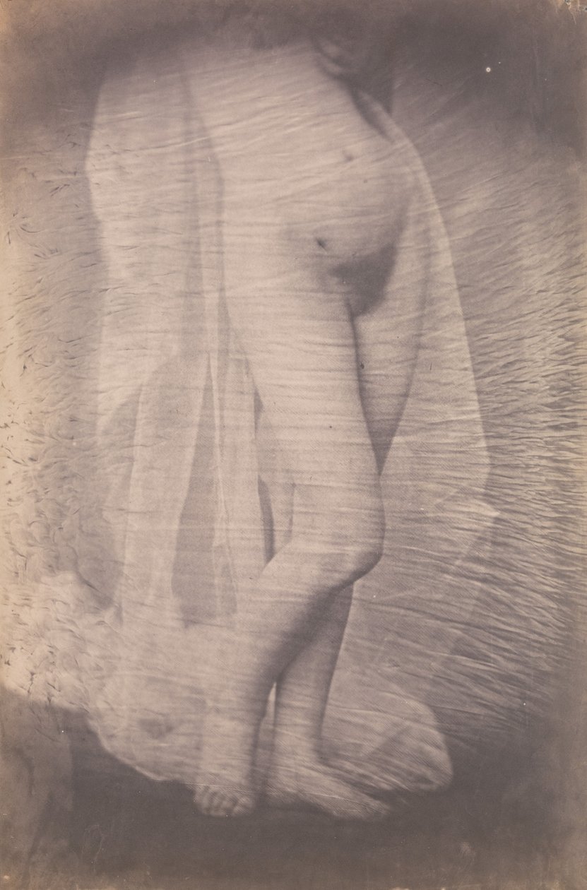[Nu feminino em pé], c. 1856. de Unbekannt