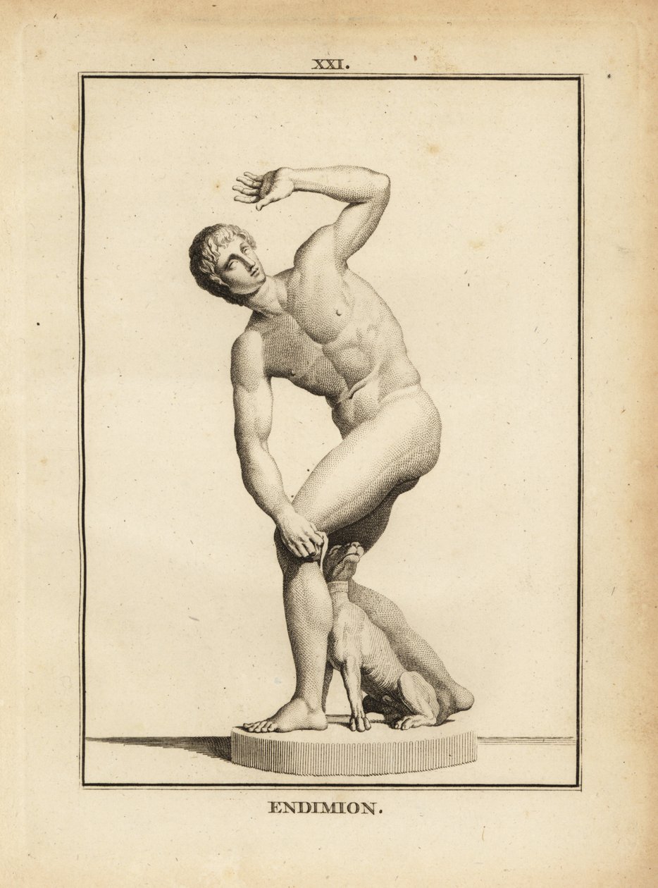 Estátua de Endymion, pastor grego de Unbekannt