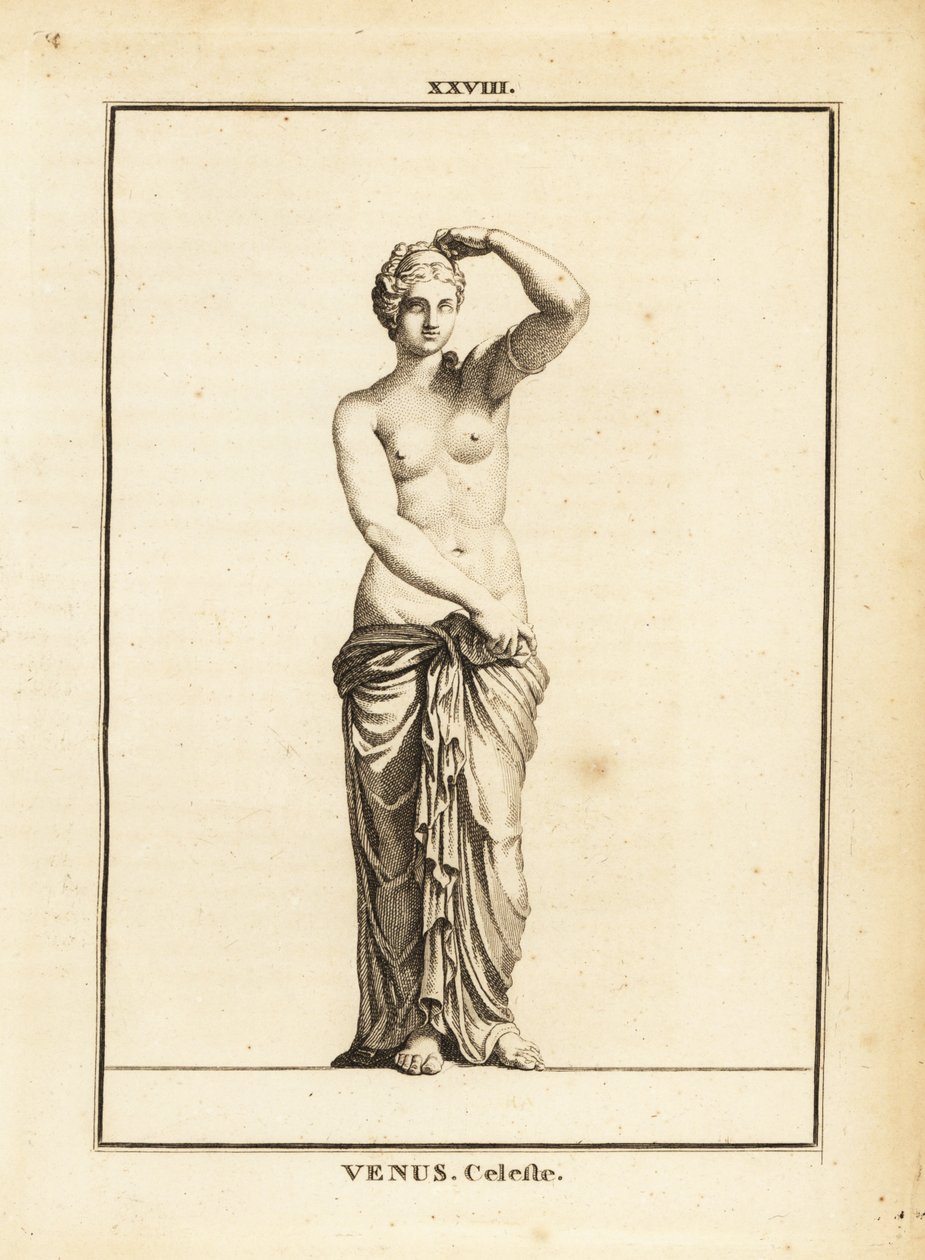 Estátua de Vénus Celeste, deusa romana do amor, da beleza, do sexo e da fertilidade de Unbekannt