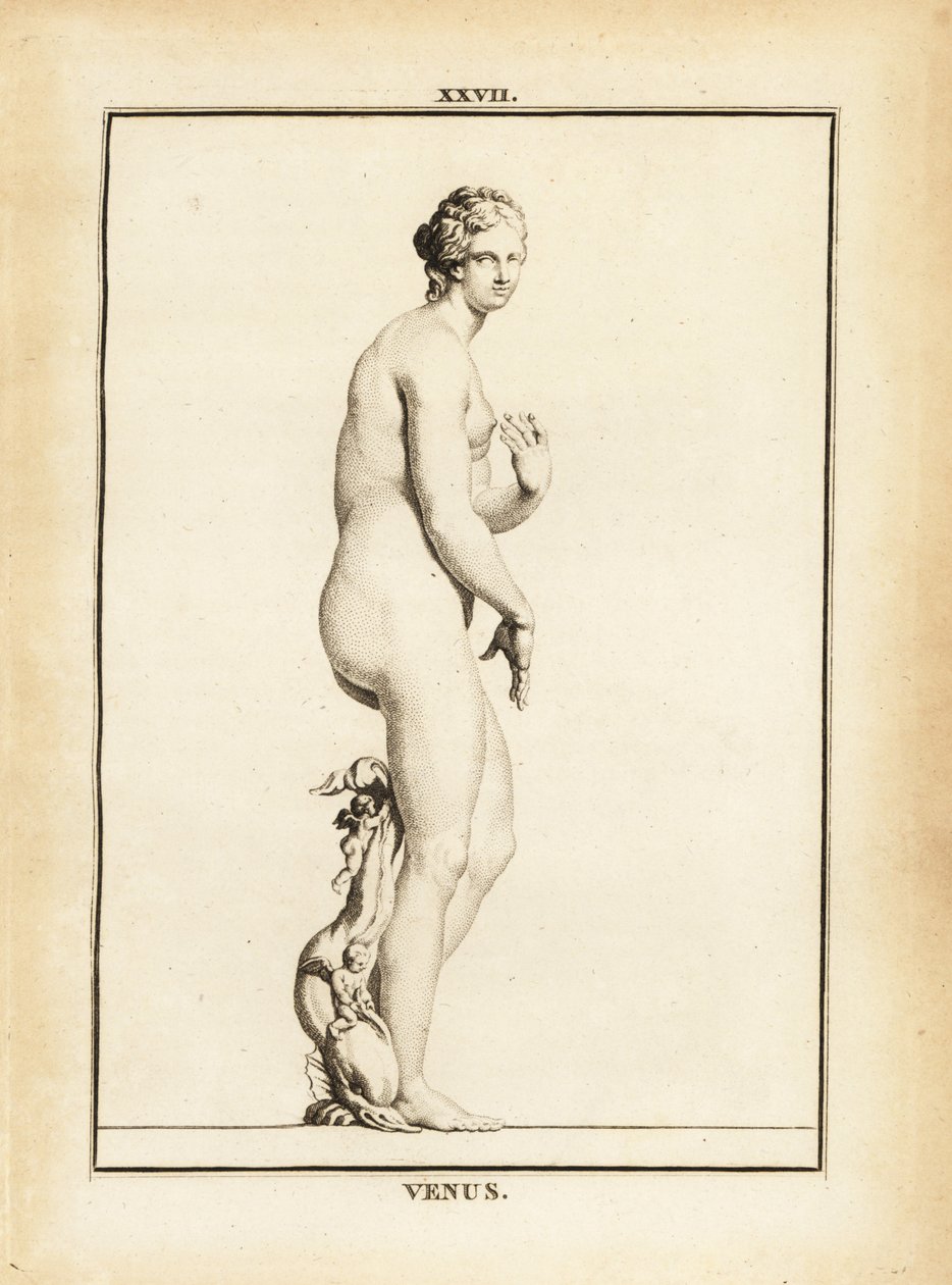 Estátua de Vénus, deusa romana do amor, da beleza, do sexo e da fertilidade de Unbekannt
