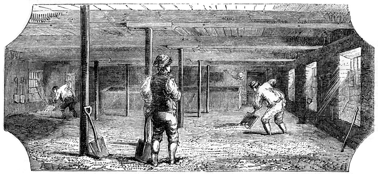 Malte de maceração, couching e soalho, 1886 de Unbekannt