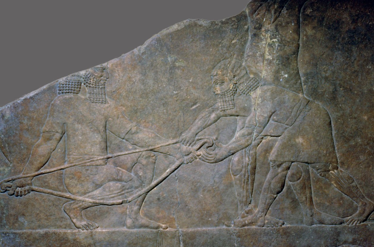 Painel de pedra do Palácio Norte de Assurbanipal, Nínive, norte do Iraque, Neo-Assírio, c645 aC de Unbekannt