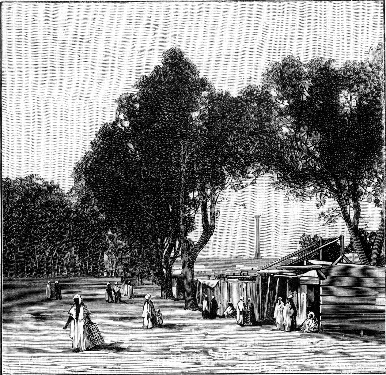 Cena de rua com o pilar de Pompeu à distância, Alexandria, Egito, 1900 de Unbekannt