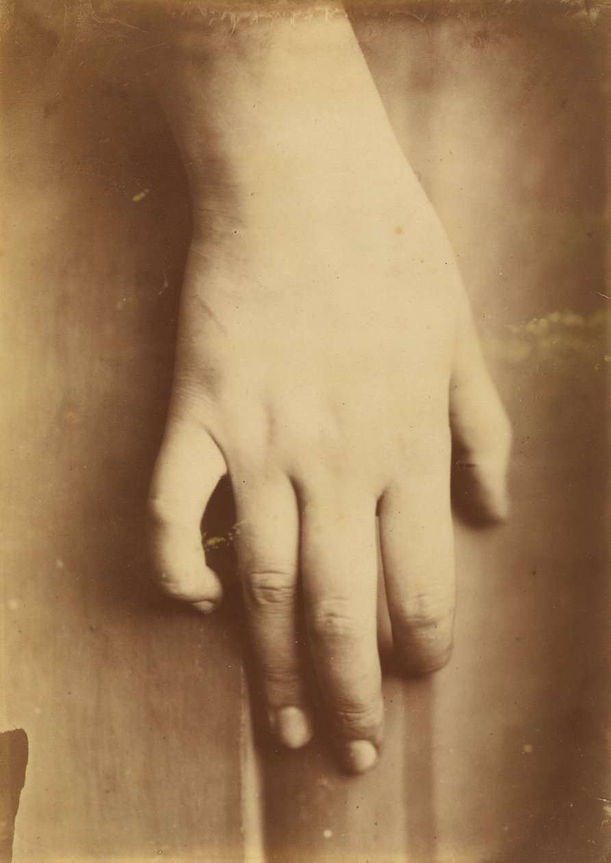 Estudo de uma mão, 1865. de Unbekannt