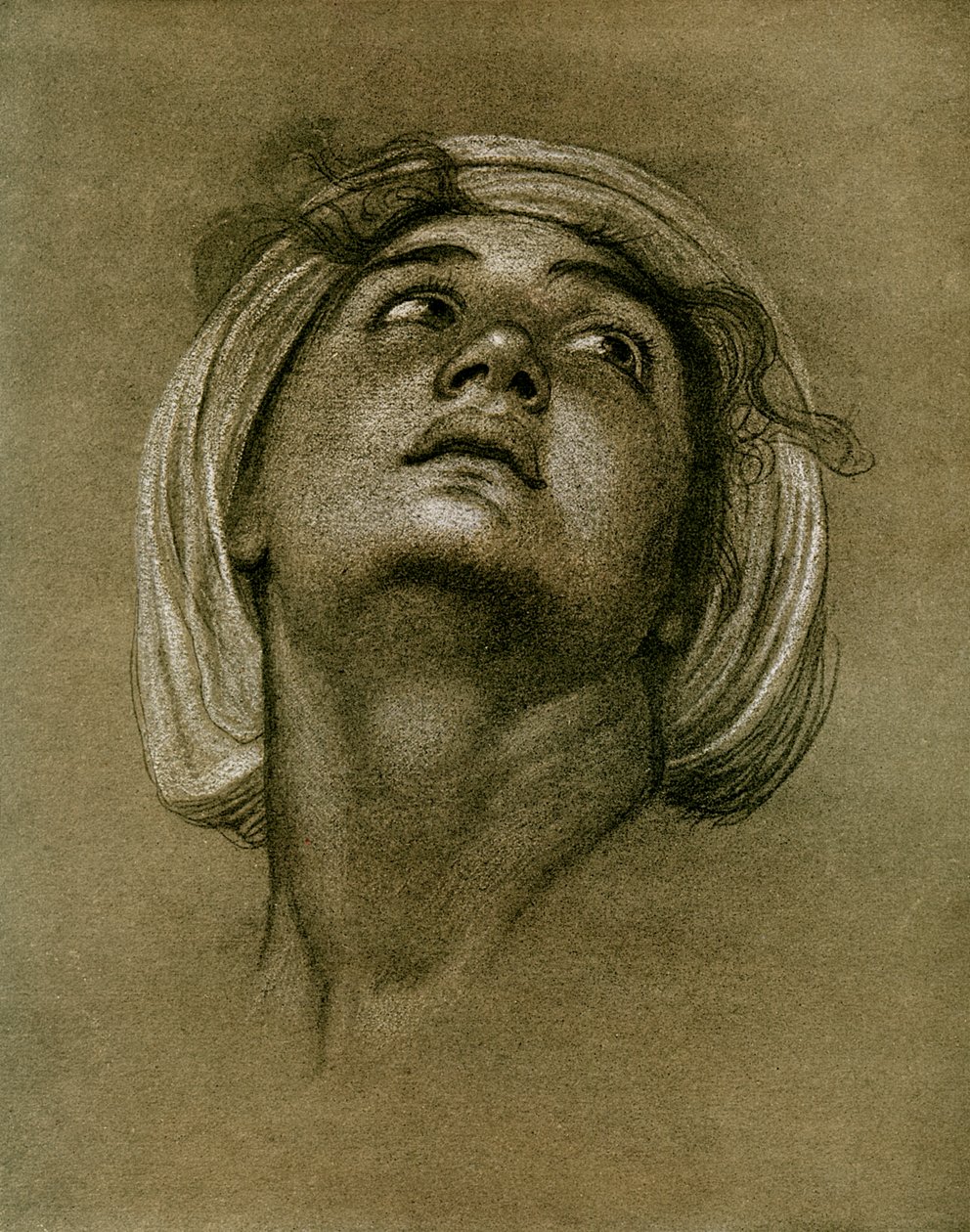 Estudo de uma cabeça, 1901 de Unbekannt