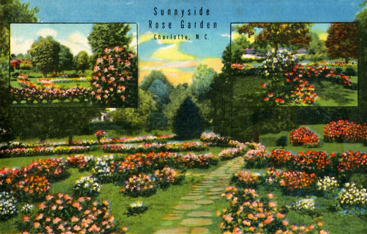 Sunnyside Rose Garden, Charlotte, Carolina do Norte, 1942. de Unbekannt