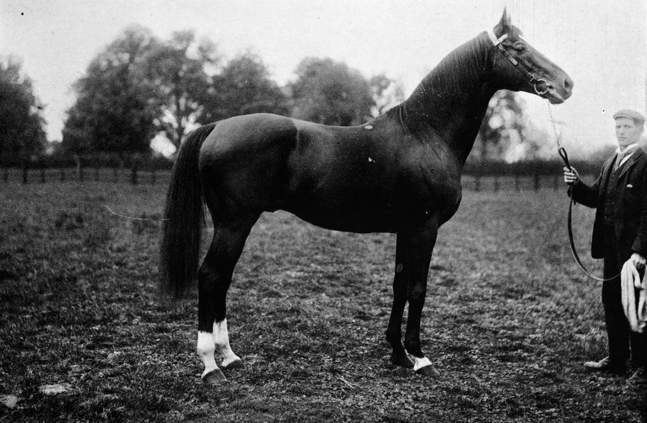 Surefoot, 1911 de Unbekannt