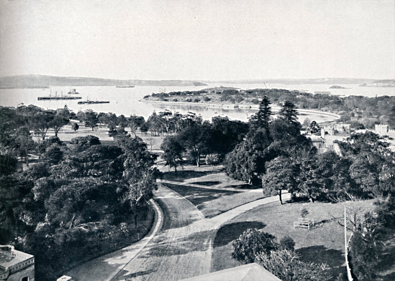 Porto de Sydney e jardins botânicos, c1900. de Unbekannt
