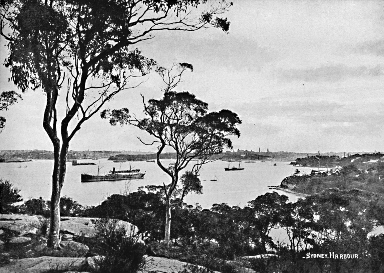 Porto de Sydney, de Cremorne Point, c1900. de Unbekannt