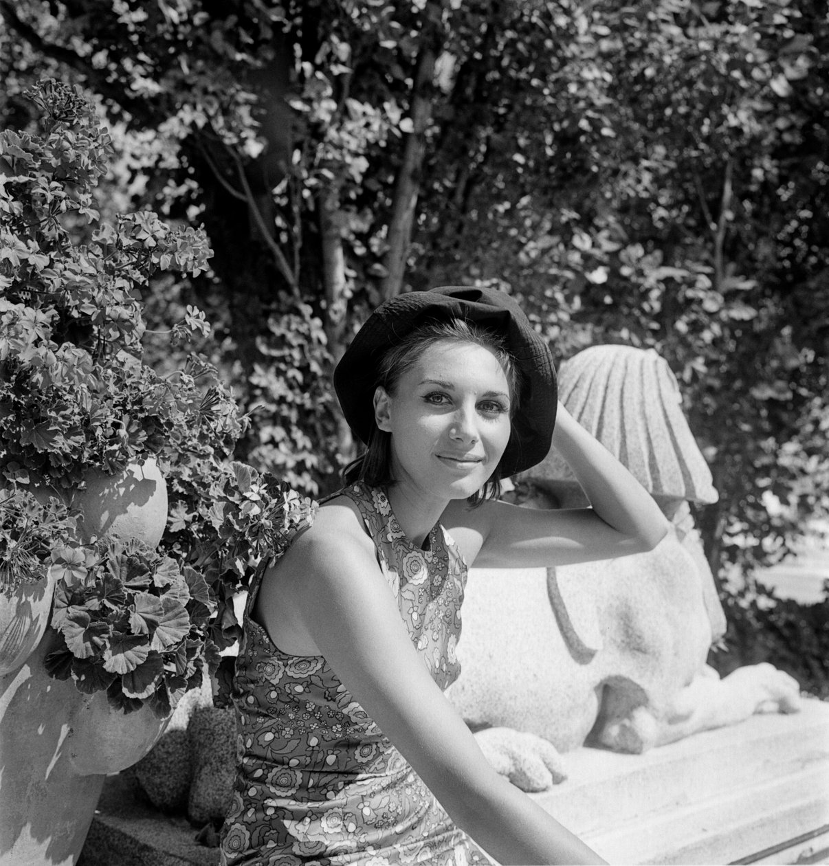 A ATRIZ PAOLA PITAGORA NO XXV FESTIVAL INTERNACIONAL DE CINEMA EM VENEZA LIDO - 1964 de Unbekannt