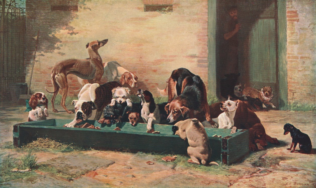 Tabela dHote em Dogs Home, 1880, c1902. de Unbekannt