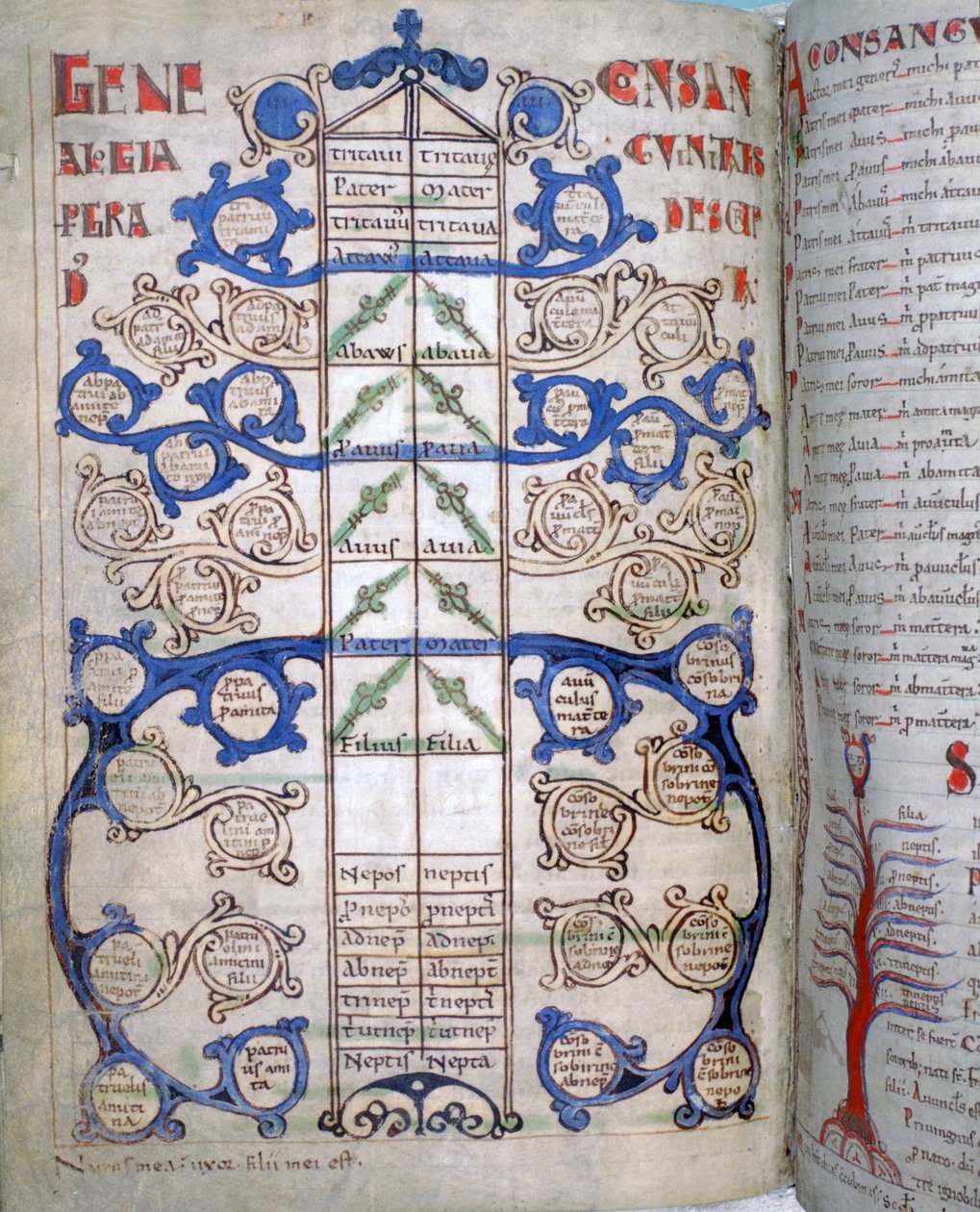 Tabela dos graus de consanguinidade, uma página de Liber Floridus, século XII de Unbekannt