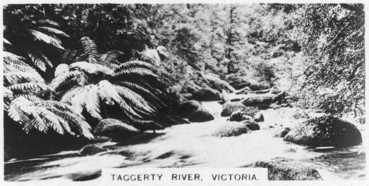 Rio Taggerty, Victoria, Austrália, 1928 de Unbekannt