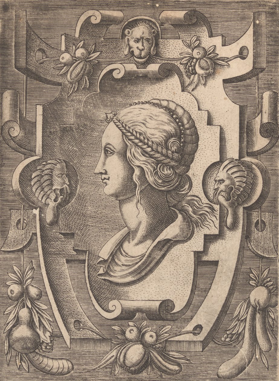 Placas e outros ornamentos de várias e caprichosas invenções Cartuchos e outros ornamentos de ..., 1773. de Unbekannt