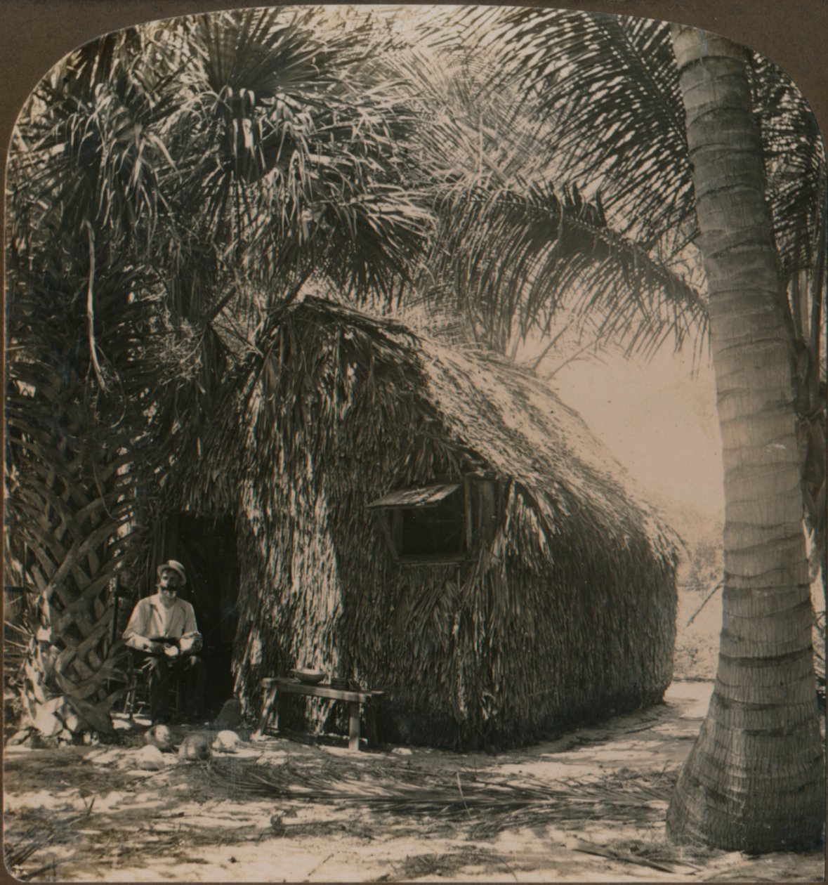 Casa de palha em Cocoanut Grove, Flórida, EUA, c1900 de Unbekannt