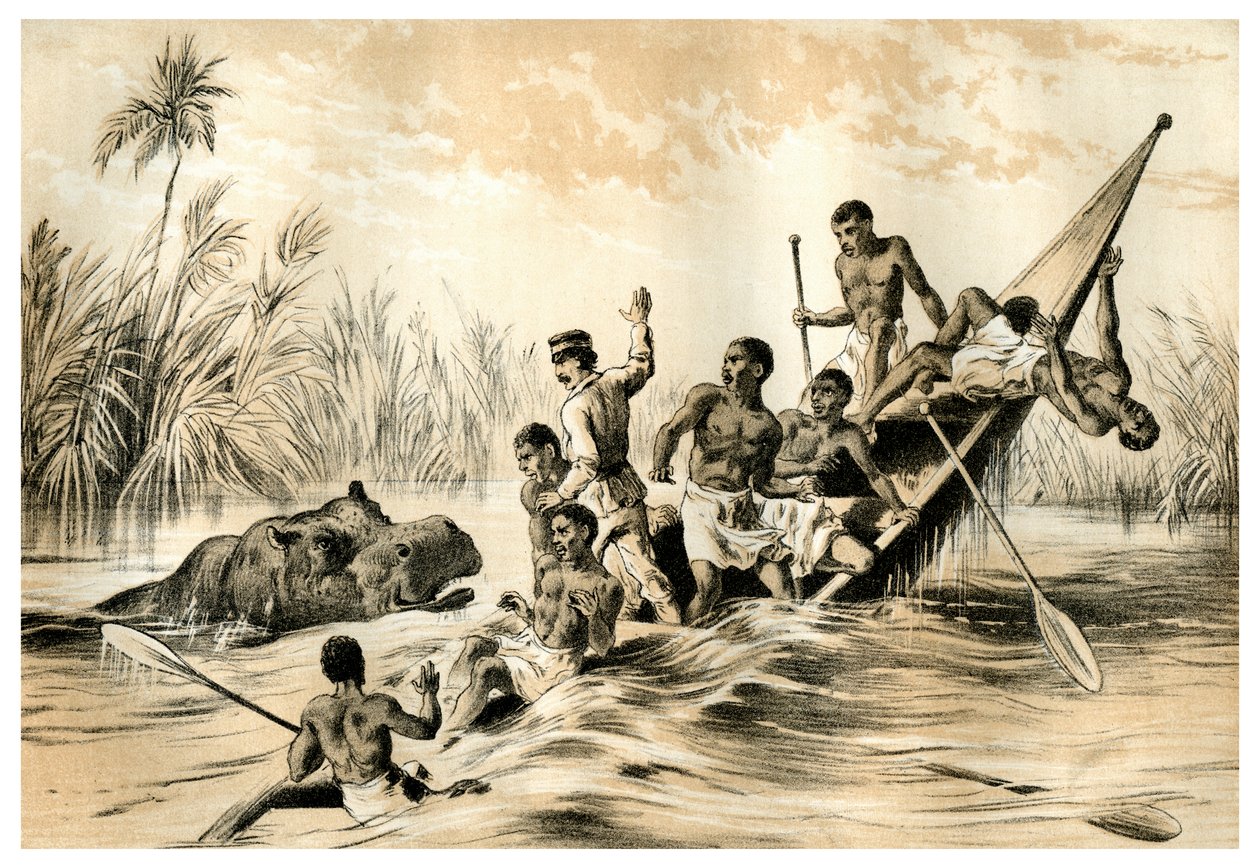 A aventura com um hipopótamo, 1883 de Unbekannt