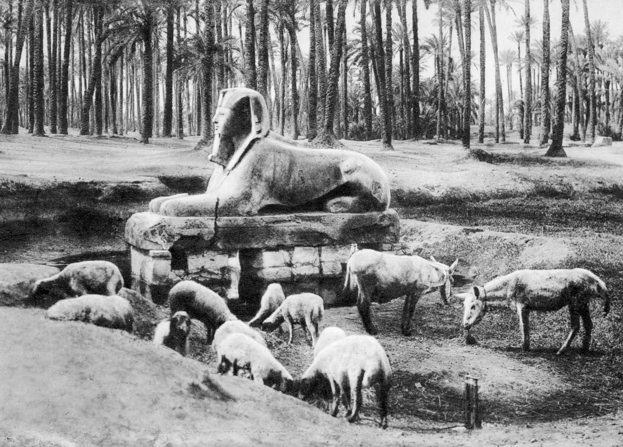 A Esfinge de Alabastro, Cairo, Egito, c1920s de Unbekannt