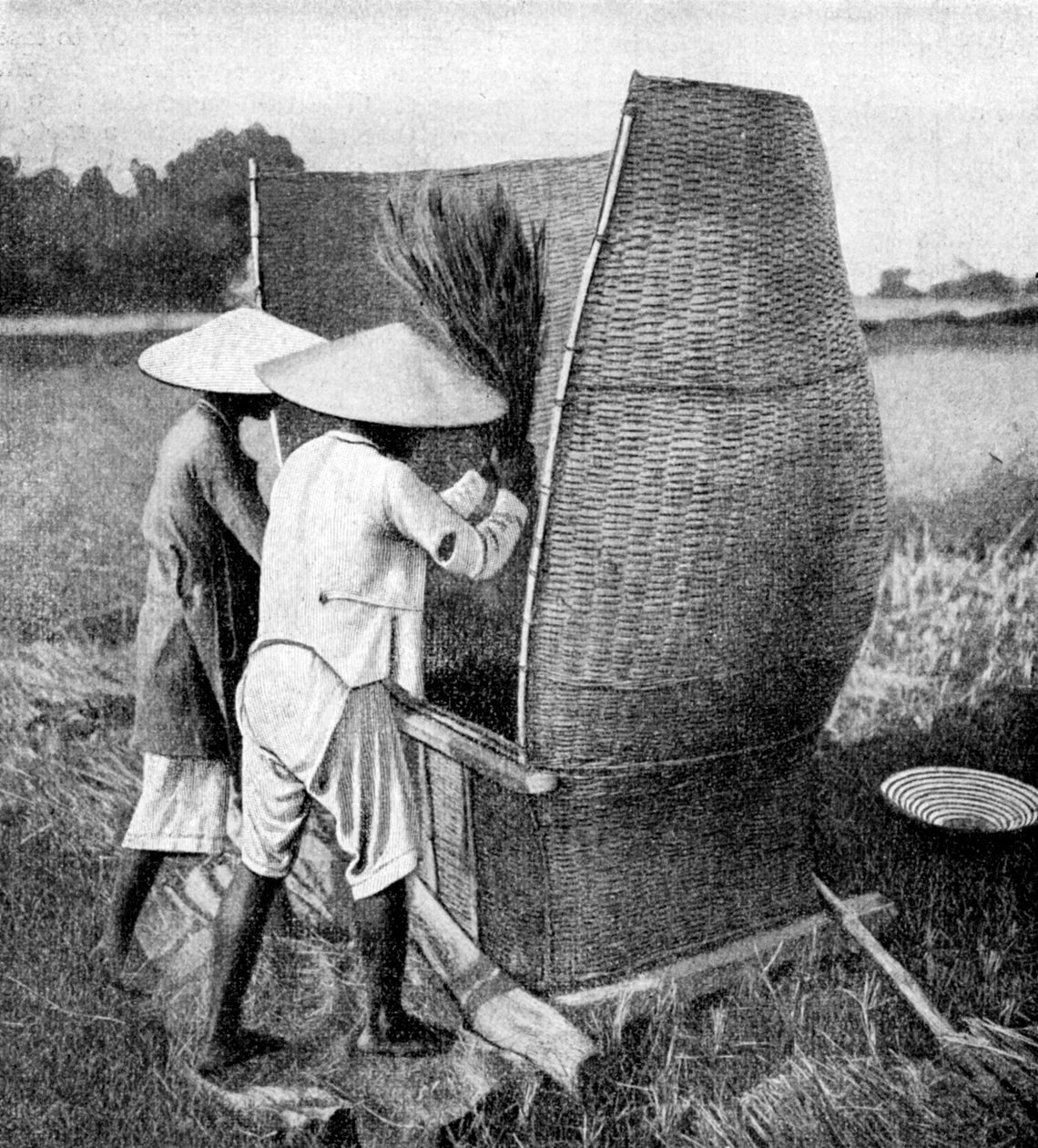 O modo annamês de colher e debulhar arroz, Annam, Vietnã, 1922 de Unbekannt