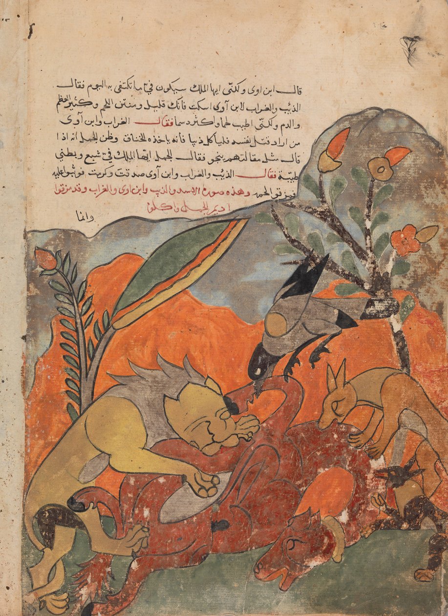 O Ataque ao Camelo pelo Leão, Corvo, Lobo e Chacal, Folio de um Kalila..., século XVIII. de Unbekannt