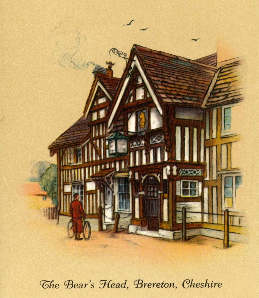 A cabeça dos ursos, Brereton, Cheshire, 1936. de Unbekannt