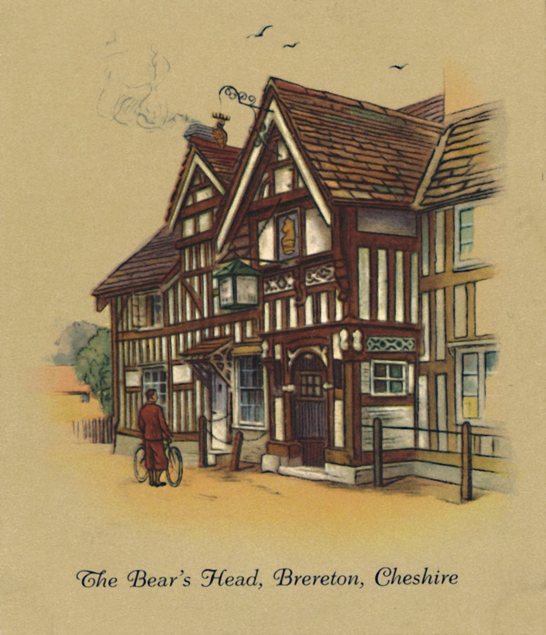 A cabeça dos ursos, Brereton, Cheshire, 1939 de Unbekannt