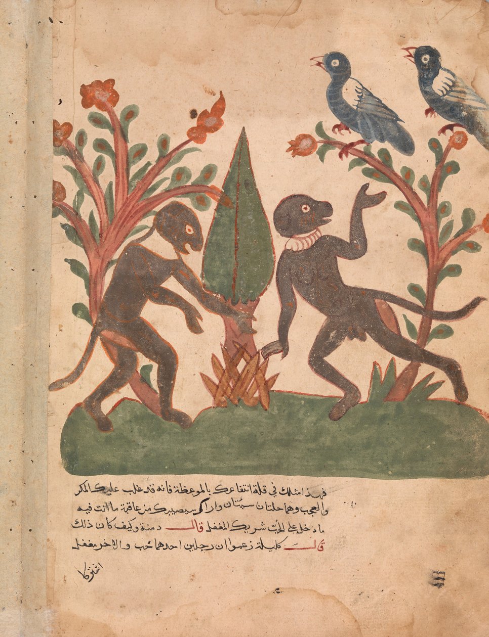 Os Pássaros e os Macacos com o Verme Brilhante, Folio de um Kalila wa Dimna, século XVIII. de Unbekannt