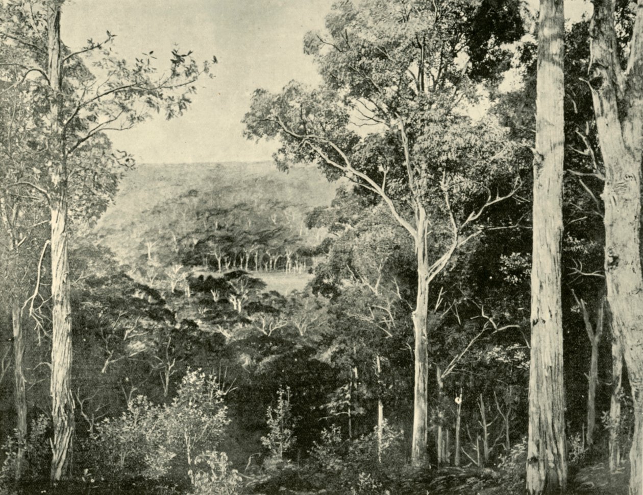 As Montanhas Azuis, 1901. de Unbekannt