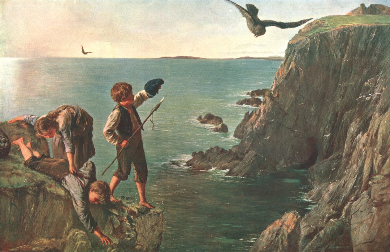 The Bonxie, Shetland, 1873, c1902. de Unbekannt