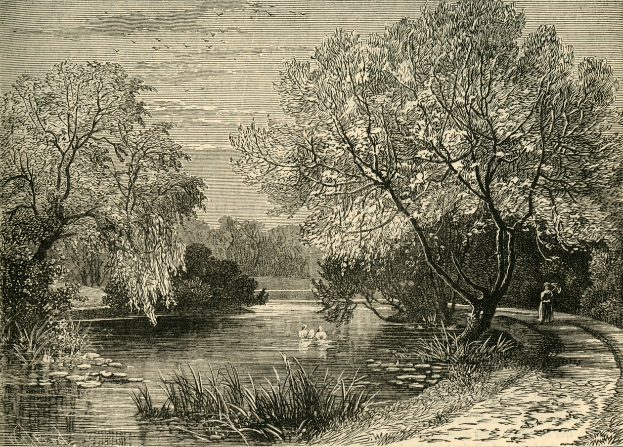 O Jardim Botânico, Regents Park, c1876. de Unbekannt