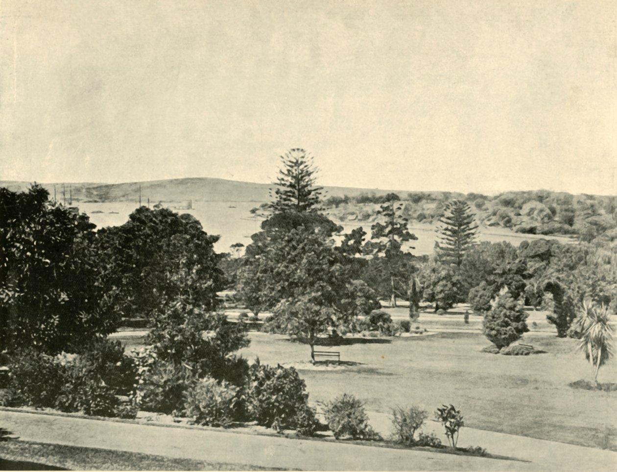 Jardins botânicos de Sydney, 1901. de Unbekannt