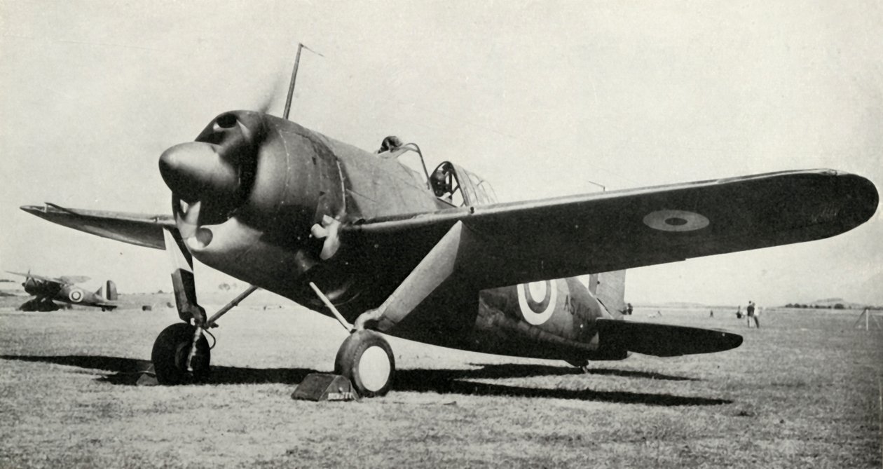 O búfalo de Brewster, 1941. de Unbekannt