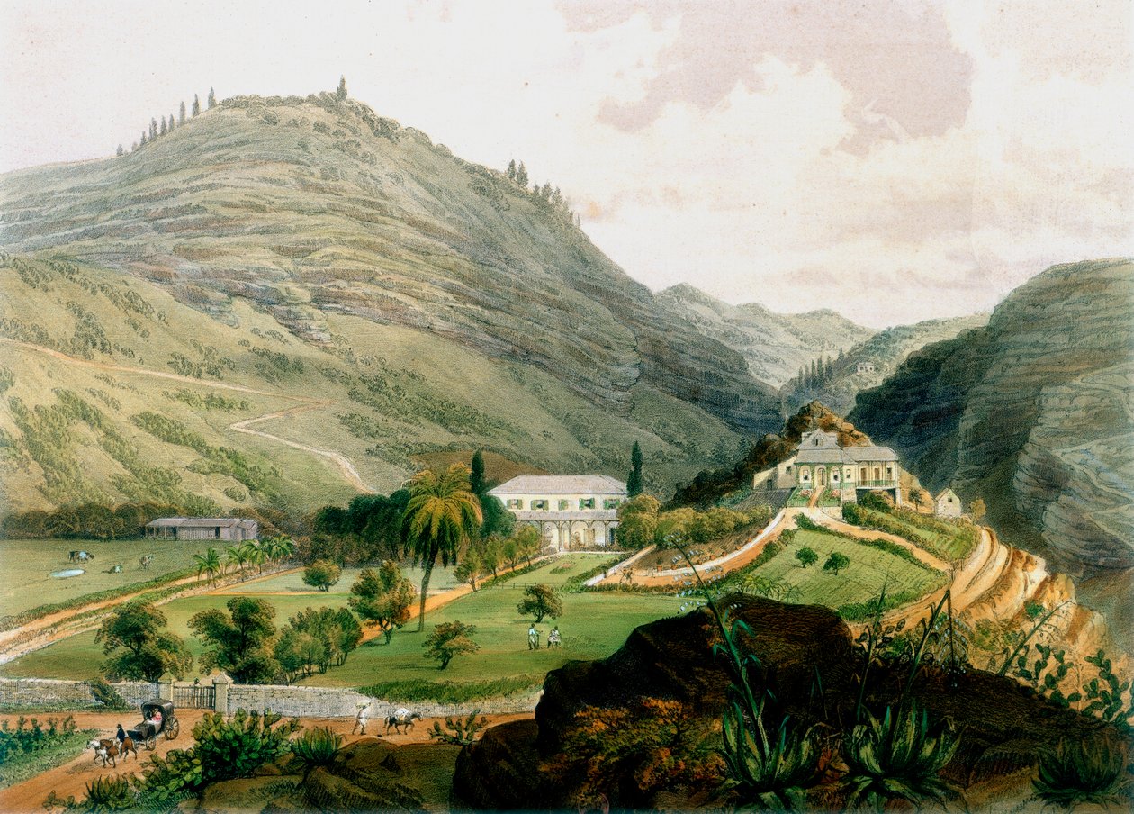 Os Briars, Santa Helena, início do século XIX 1851 de Unbekannt