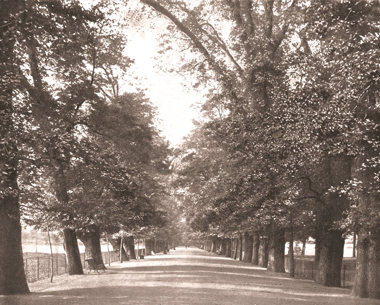 A caminhada larga, Oxford, 1894. de Unbekannt