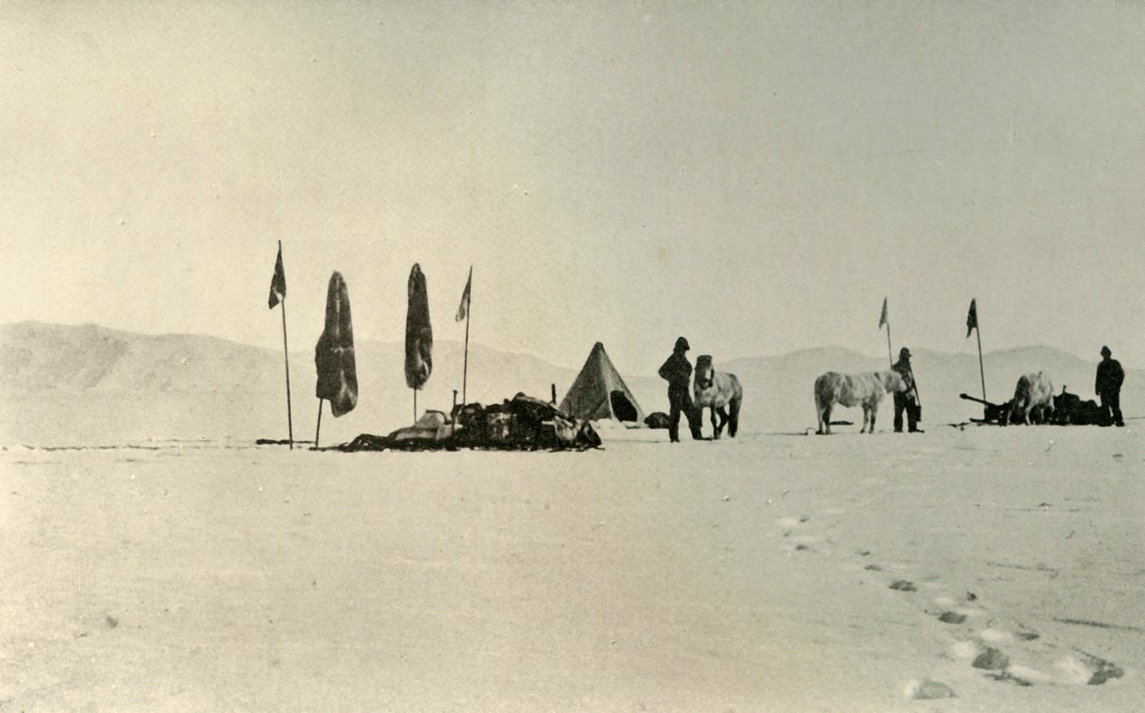 O acampamento depois de passar a latitude sul mais distante anterior, novembro de 1908, 1909 de Unbekannt