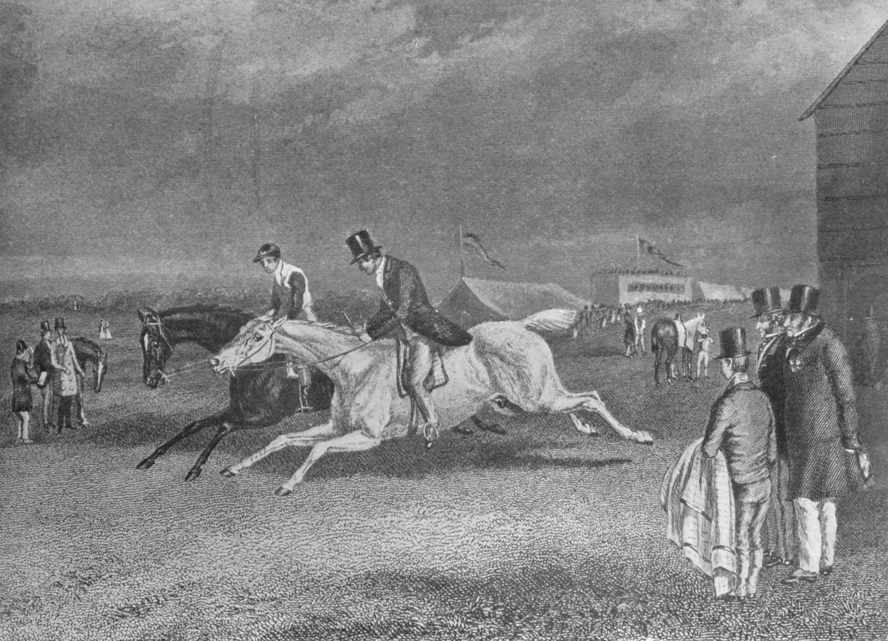The Canter Up, século XIX, 1911 de Unbekannt