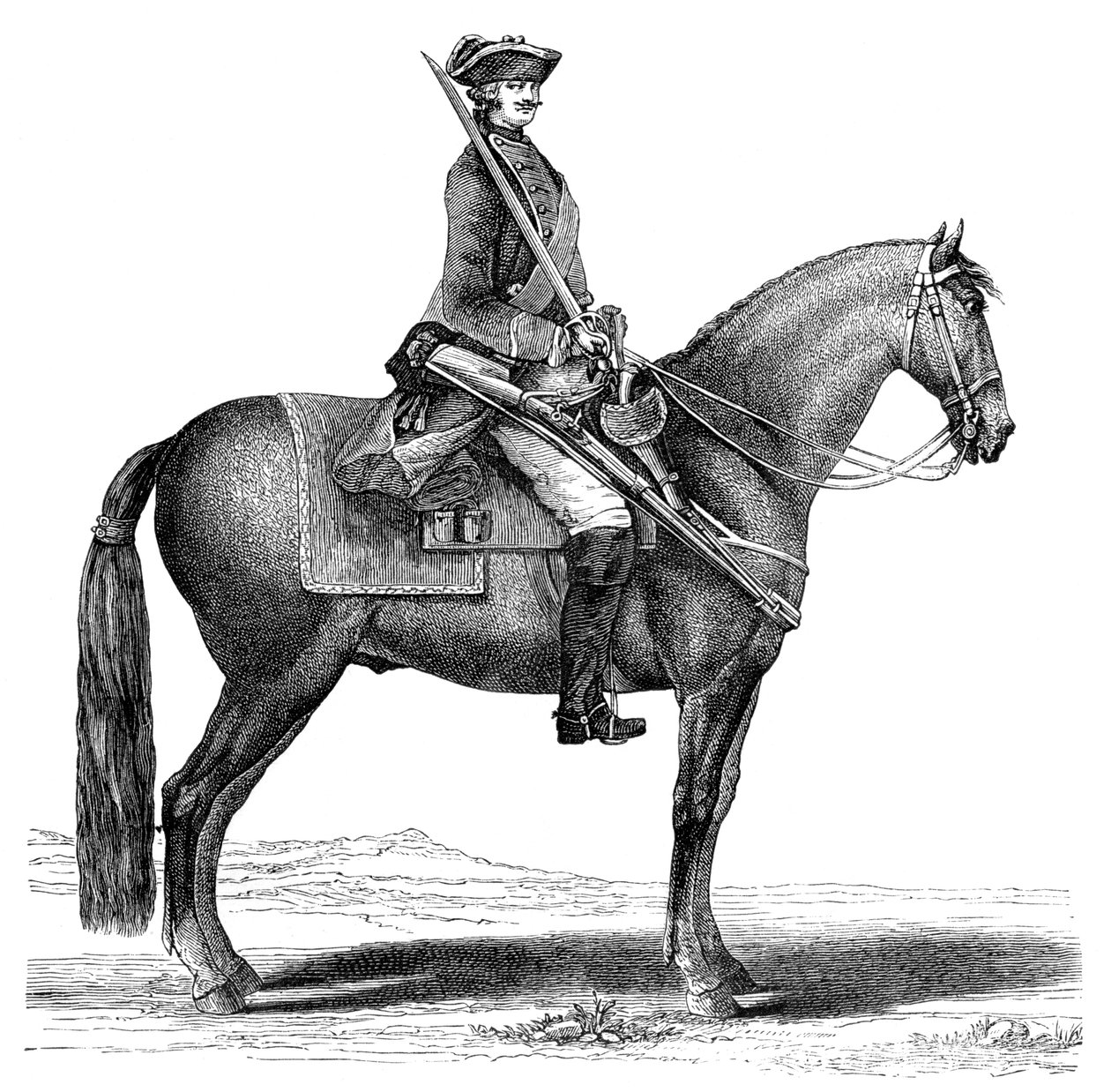 O Cavalier, 1885 de Unbekannt
