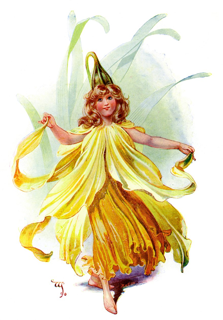 O Narciso, 1899 de Unbekannt