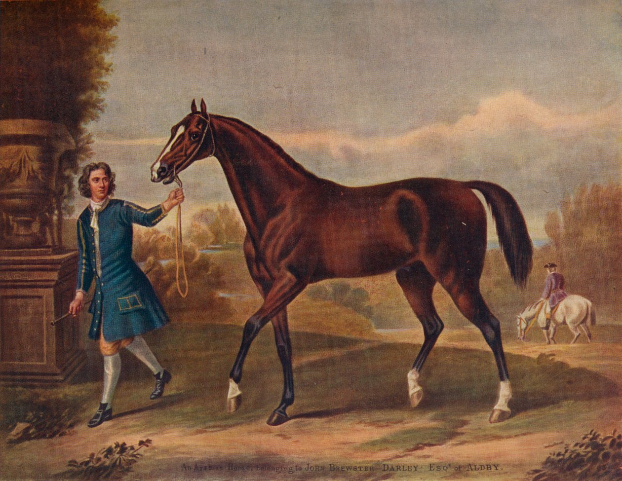 O árabe de Darley, c1720, 1922 de Unbekannt