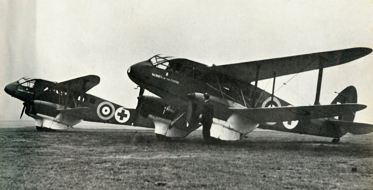 A ambulância De Havilland, 1941. de Unbekannt