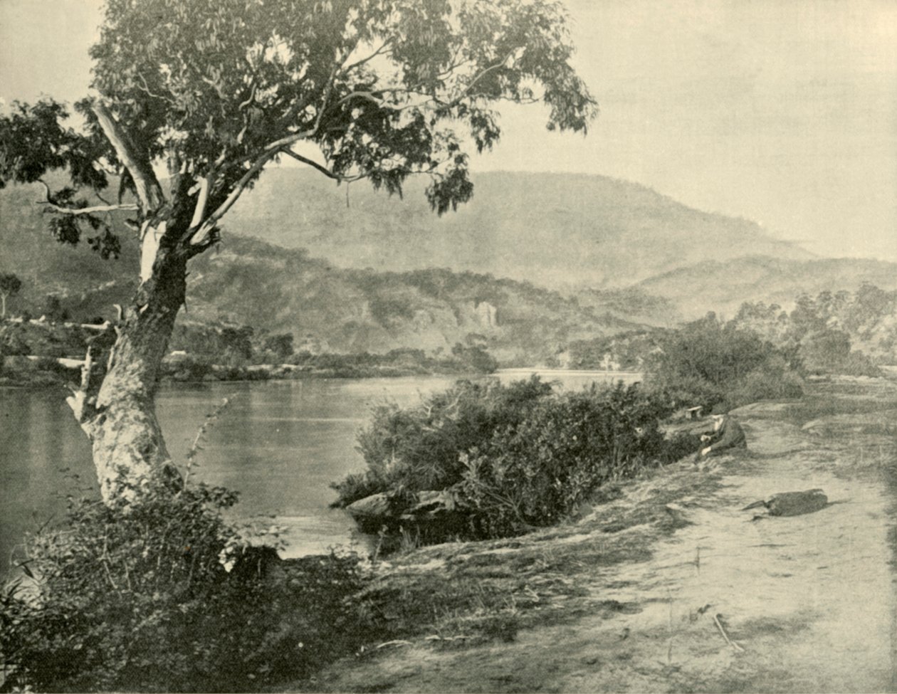O Derwent em New Norfolk, 1901. de Unbekannt